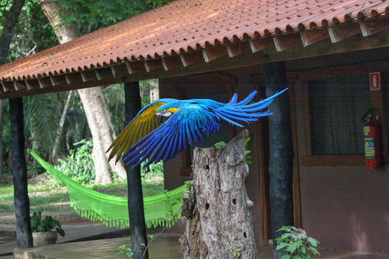 Aymara Lodge Poconé Exterior foto